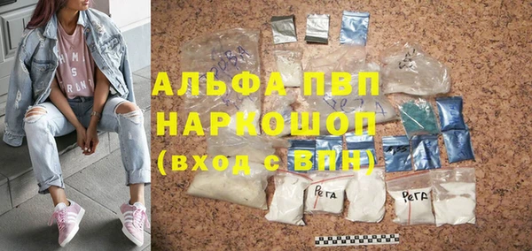 гидра Елизово