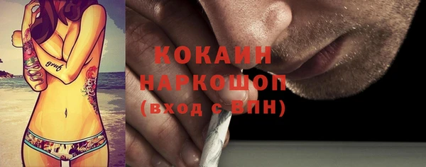 гидра Елизово