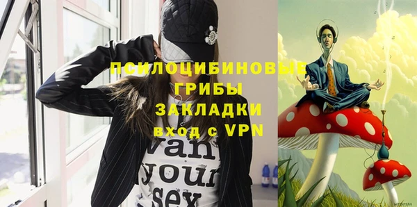 гидра Елизово